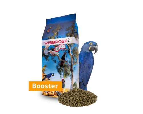 Wisbroek Parrot Nut Blend Booster - Granulat uzupełniający w okresie lęgowym dla dużych papug wymagających diety bogatej w tłuszcze i orzechy